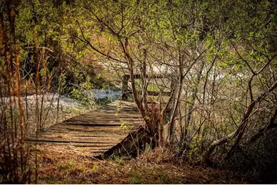 957 NE 354th Avenue, Old Town, FL 32680 - Photo 47