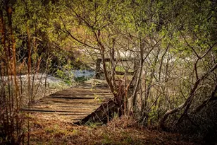 957 NE 354th Ave, Old Town, FL 32680 - Photo 47