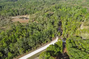 957 NE 354th Ave, Old Town, FL 32680 - Photo 53