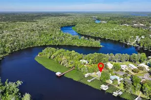 334 Paradise Cir, Satsuma, FL 32189 - Photo 1