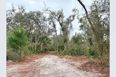 445 NE 544th Street, Old Town, FL 32680 - Photo 11