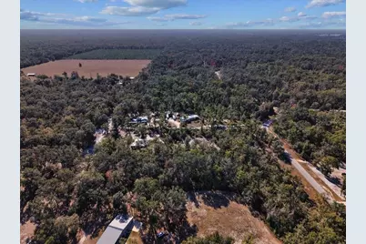 445 NE 544th Street, Old Town, FL 32680 - Photo 9