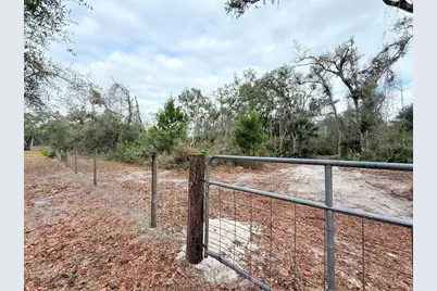 445 NE 544th Street, Old Town, FL 32680 - Photo 3