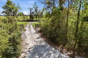 29578 SW 63rd Ave, Newberry, FL 32669 - Photo 11