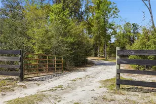 29578 SW 63rd Ave, Newberry, FL 32669 - Photo 11