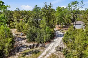 29578 SW 63rd Ave, Newberry, FL 32669 - Photo 9
