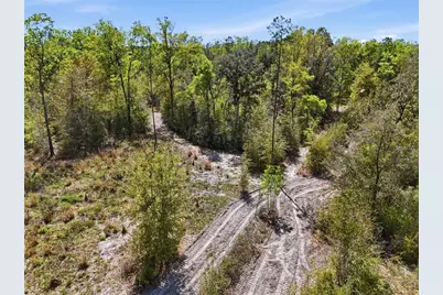 29578 SW 63rd Avenue, Newberry, FL 32669 - Photo 39