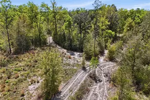 29578 SW 63rd Ave, Newberry, FL 32669 - Photo 39