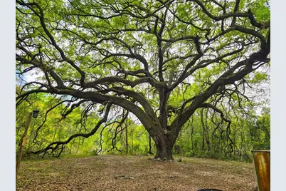 3095 County Road 202, Oxford, FL 34484 - Photo 3