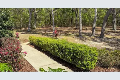 103 Deep Lake Trail, Melrose, FL 32666 - Photo 5