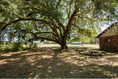 13296 SW County Road 231, Brooker, FL 32622 - Photo 5