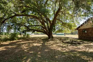 13296 SW County Rd 231, Brooker, FL 32622 - Photo 5