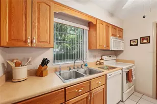 3411 NE 11th Terrace, Gainesville, FL 32609 - Photo 13