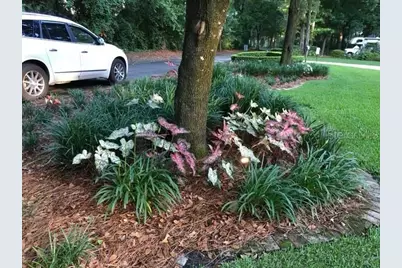 2006 NW 23rd Street, Gainesville, FL 32605 - Photo 37