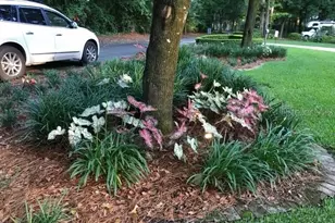 2006 NW 23rd St, Gainesville, FL 32605 - Photo 37