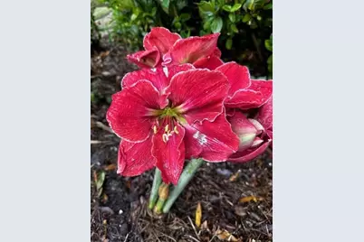 2006 NW 23rd Street, Gainesville, FL 32605 - Photo 35