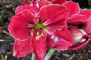 2006 NW 23rd St, Gainesville, FL 32605 - Photo 35