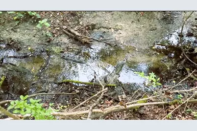 10350 Deer Run, White Springs, FL 32096 - Photo 63