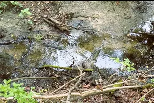 10350 Deer Run, White Springs, FL 32096 - Photo 63