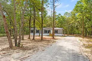 8050 NE 102nd Ct, Bronson, FL 32621 - Photo 7