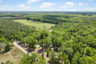 3639 NE 80th Ave, High Springs, FL 32643 - Photo 43