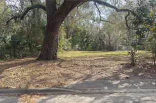 325 NE 19th St, Gainesville, FL 32641 - Photo 7