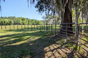 21840 NW 218th Terrace, High Springs, FL 32643 - Photo 79