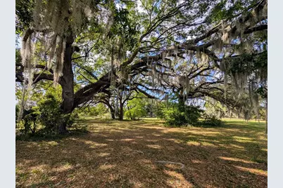 21840 NW 218th Terrace, High Springs, FL 32643 - Photo 89