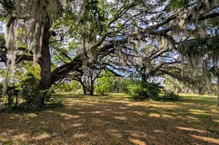 21840 NW 218th Terrace, High Springs, FL 32643 - Photo 89