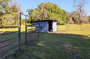 21840 NW 218th Terrace, High Springs, FL 32643 - Photo 81