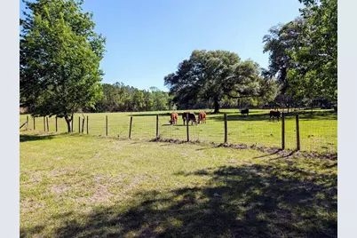 21840 NW 218th Terrace, High Springs, FL 32643 - Photo 59