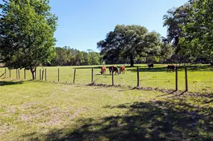 21840 NW 218th Terrace, High Springs, FL 32643 - Photo 59