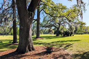 21840 NW 218th Terrace, High Springs, FL 32643 - Photo 73