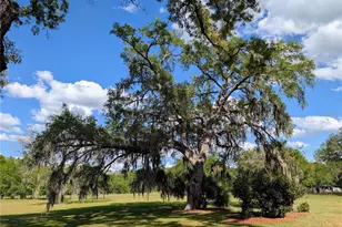 21840 NW 218th Terrace, High Springs, FL 32643 - Photo 75