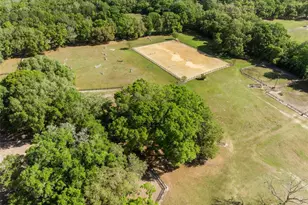 16525 SW 5th Pl, Newberry, FL 32669 - Photo 29