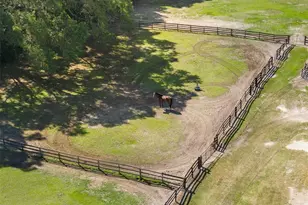 16525 SW 5th Pl, Newberry, FL 32669 - Photo 57