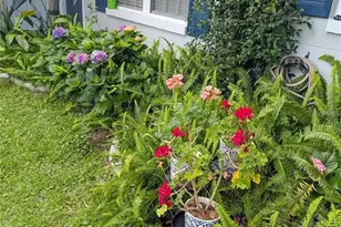 228 SE Oak Hill St, Lake City, FL 32025 - Photo 7