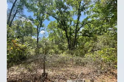 7157 NW 120th Street, Chiefland, FL 32626 - Photo 31