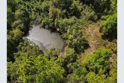 7157 NW 120th Street, Chiefland, FL 32626 - Photo 3