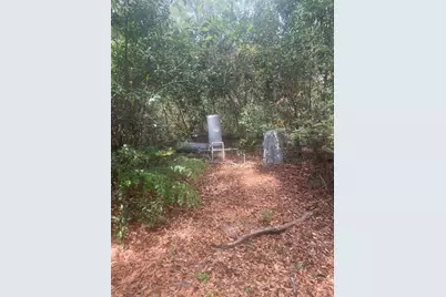 7157 NW 120th Street, Chiefland, FL 32626 - Photo 5