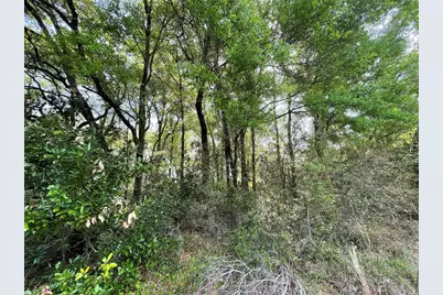 7157 NW 120th Street, Chiefland, FL 32626 - Photo 23