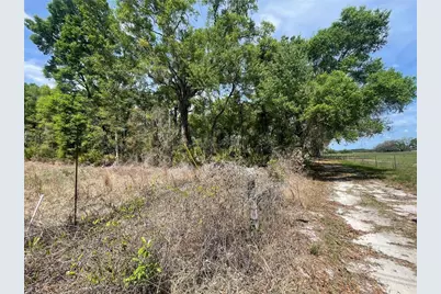 7157 NW 120th Street, Chiefland, FL 32626 - Photo 33