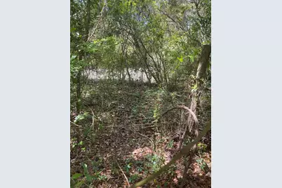 7157 NW 120th Street, Chiefland, FL 32626 - Photo 29