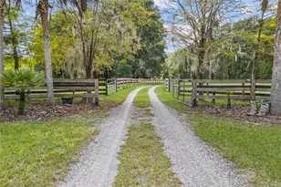 25743 NW 62nd Ave, High Springs, FL 32643 - Photo 11