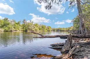 7870 SW 25th Pl, Bell, FL 32619 - Photo 45