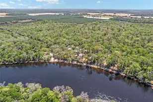 7870 SW 25th Pl, Bell, FL 32619 - Photo 19