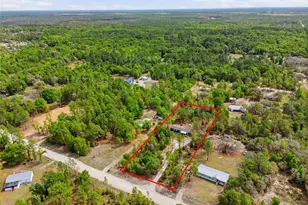 11731 NE 106th Ct, Archer, FL 32618 - Photo 41