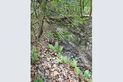 3519 NW 30th Boulevard, Gainesville, FL 32605 - Photo 7