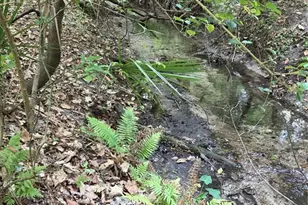 3519 NW 30th Blvd, Gainesville, FL 32605 - Photo 7