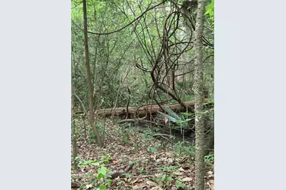 3519 NW 30th Boulevard, Gainesville, FL 32605 - Photo 55